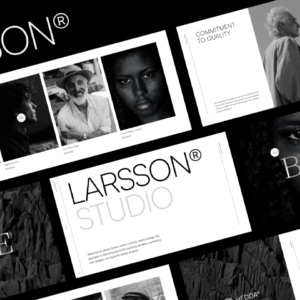 Agency Website Theme